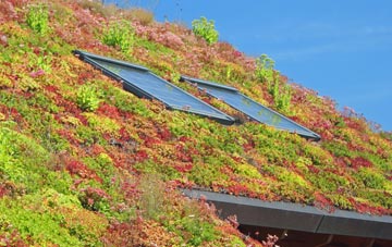 Blackcastle living roof systems
