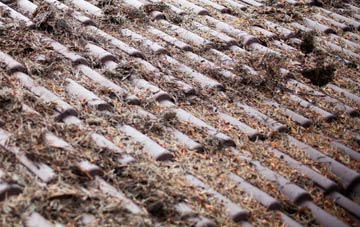 Blackcastle roof cleaning companies