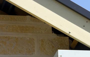 soffit repair Blackcastle