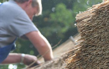 professional Blackcastle thatchers