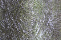 Blackcastle fibreglass roof work